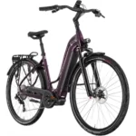 Rower elektryczny KROSS Trans Hybrid Prestige UNI