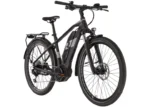 Rower elektryczny R-RAYMON TourRay E 3.0 Gent T350 - obrazek 11