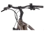 Rower elektryczny R-RAYMON TourRay E 5.0 Gent 9S M350 - obrazek 14