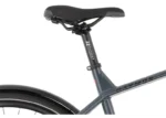 Rower miejski RAYMON UrbanRay 2.0 Gent - obrazek 5